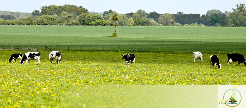 Agri Bio �nergie � etreville