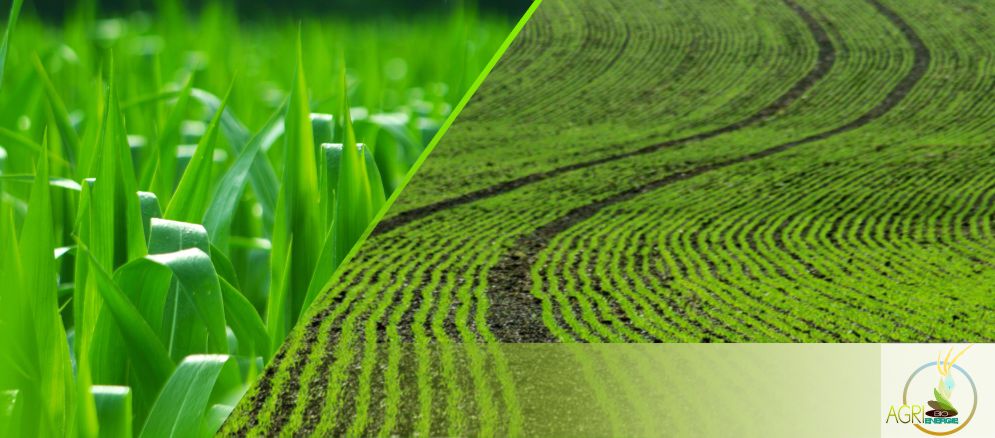 Agri Bio �nergie � etreville