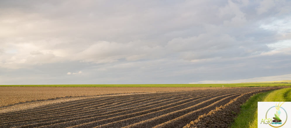 Agri Bio �nergie � etreville